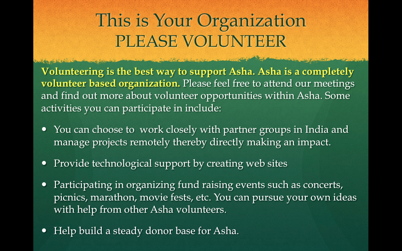 Volunteer Info 3
